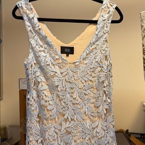 🔥 🔥 Goldie blue Lace Dress tags removed
